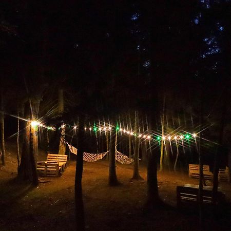 Hotel Evergreen Borjomi Dış mekan fotoğraf