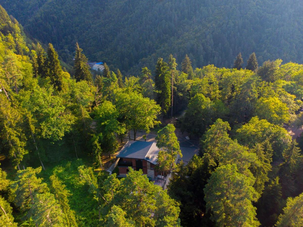 Hotel Evergreen Borjomi Dış mekan fotoğraf