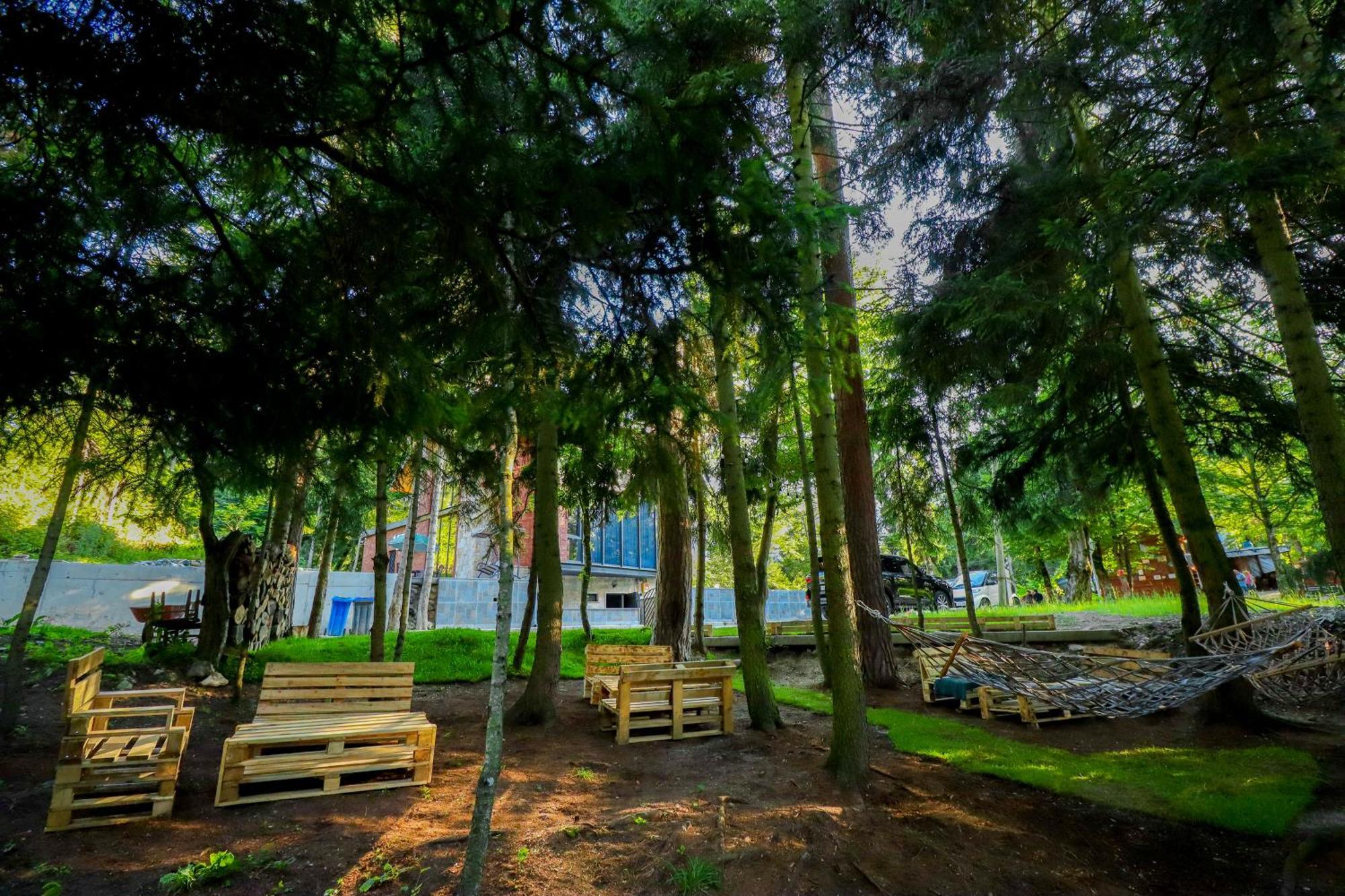 Hotel Evergreen Borjomi Dış mekan fotoğraf